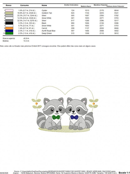 Boys Racoons embroidery designs - Woodland Forest Animal embroidery design machine embroidery pattern - Raccoon Brothers - Instant download (Copy)