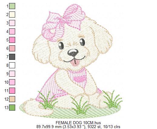 Female Dog embroidery designs - Doggie embroidery design machine embroidery pattern - Puppy embroidery - Pet embroidery - instant download (Copy) Marcia Embroidery