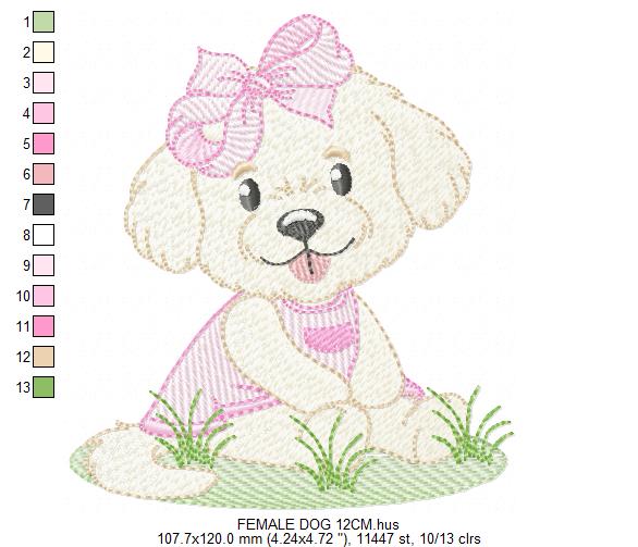 Female Dog embroidery designs - Doggie embroidery design machine embroidery pattern - Puppy embroidery - Pet embroidery - instant download (Copy) Marcia Embroidery