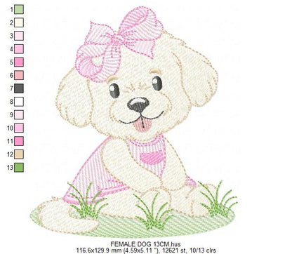 Female Dog embroidery designs - Doggie embroidery design machine embroidery pattern - Puppy embroidery - Pet embroidery - instant download (Copy) Marcia Embroidery