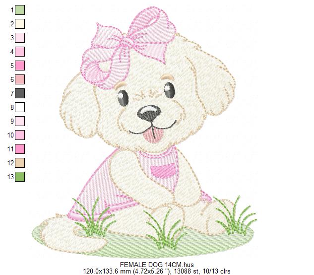 Female Dog embroidery designs - Doggie embroidery design machine embroidery pattern - Puppy embroidery - Pet embroidery - instant download (Copy) Marcia Embroidery