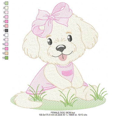 Female Dog embroidery designs - Doggie embroidery design machine embroidery pattern - Puppy embroidery - Pet embroidery - instant download (Copy) Marcia Embroidery