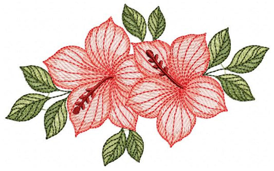 Monogram Floral Frame embroidery design - Roses  and Flowers Frame machine embroidery pattern - Floral wreath garland file - Instant download pes jef (Copy) Marcia Embroidery