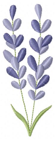 Lavender flowers embroidery design - Flower garden machine embroidery pattern - Floral Kitchen Tea towel - Instant download pes jef (Copy) Marcia Embroidery