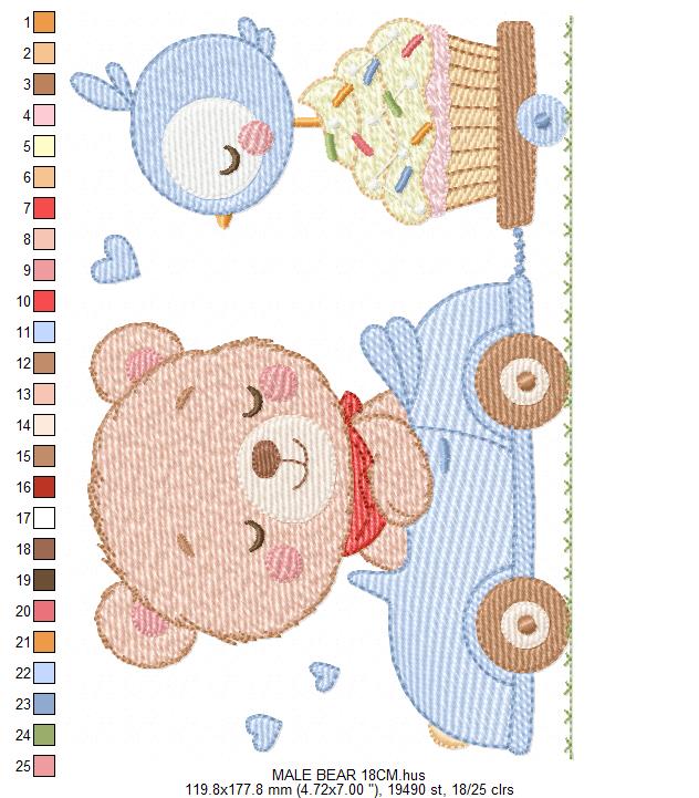 Bear with F1 car embroidery designs - F1 Pilot Bear machine embroidery pattern - Baby boy file - Instant digital download pes jef dst hus (Copy) Marcia Embroidery
