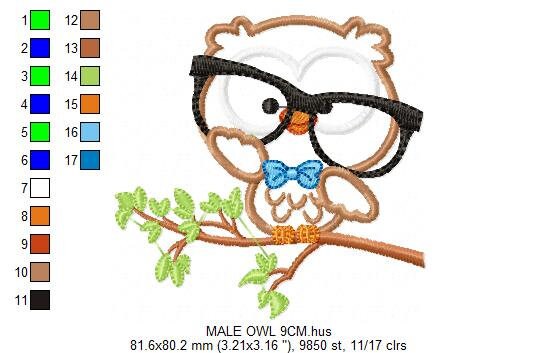 Owl embroidery design - Owl with glasses embroidery design machine embroidery pattern - Teacher embroidery file - bird owl applique design