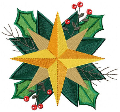 Christmas Star embroidery designs - Xmas Flower embroidery design machine embroidery pattern - Christmas embroidery file Poinsettia