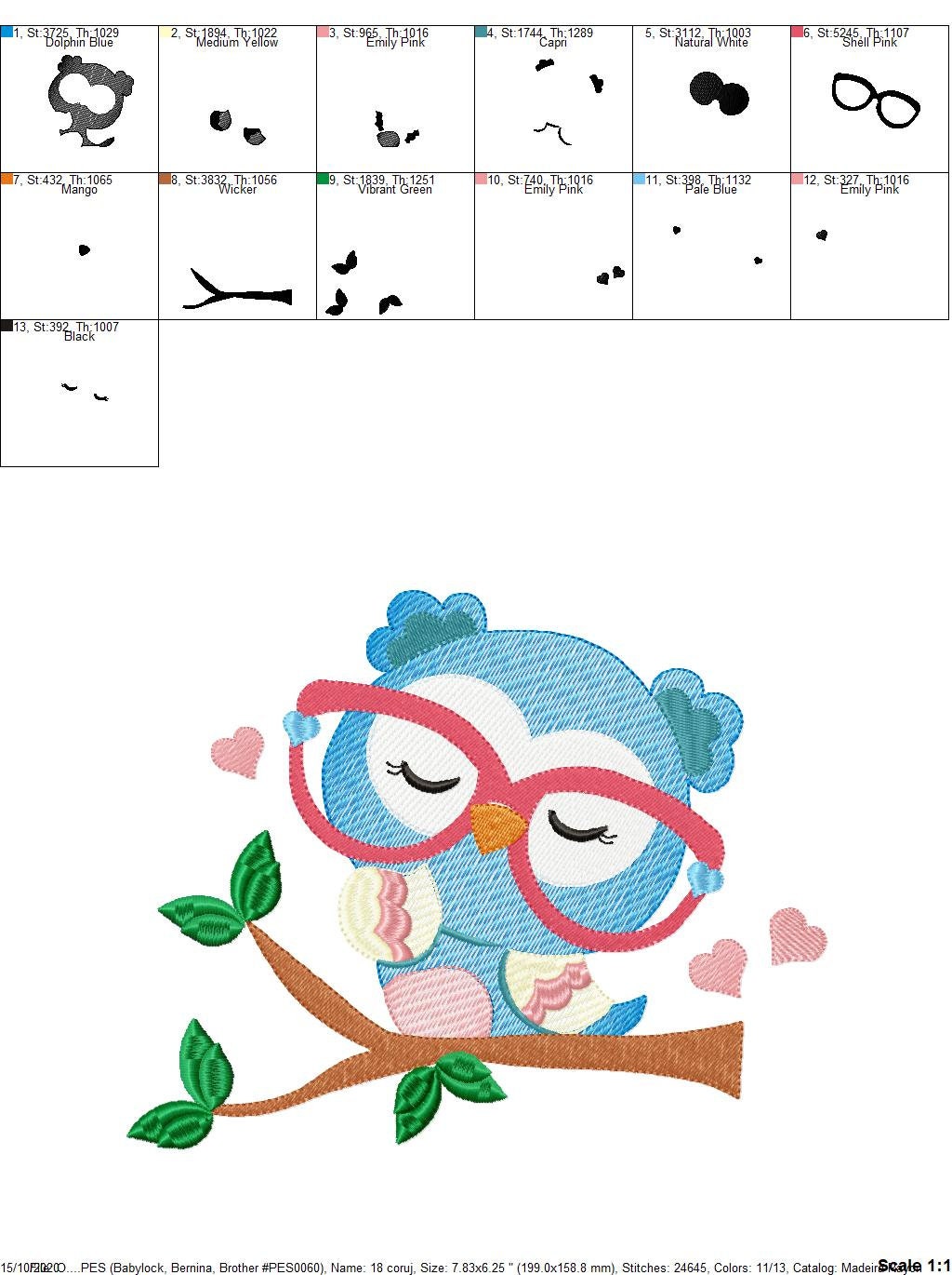 Owl embroidery design - Owl with glasses embroidery design machine embroidery pattern - bird embroidery file school teacher digital download