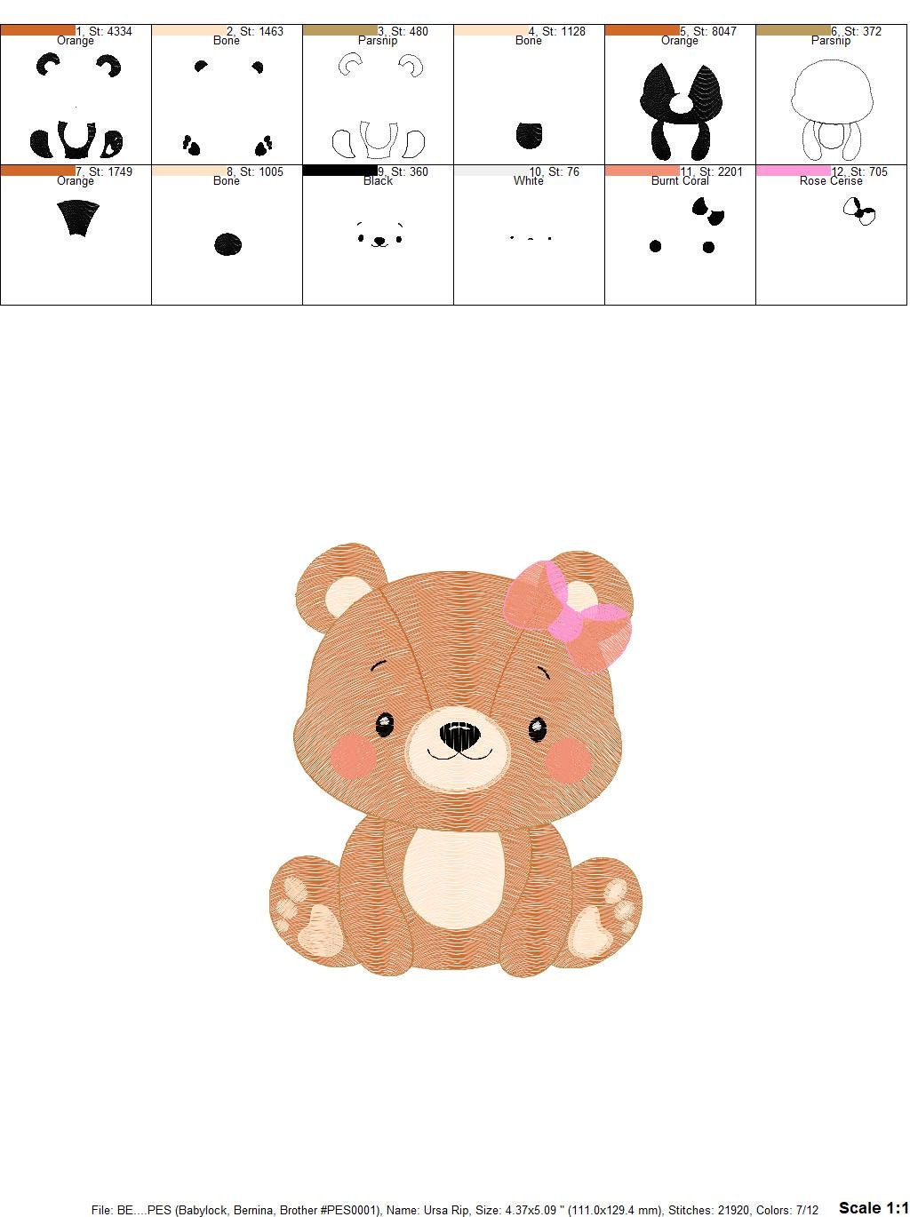Bear embroidery designs - Female Teddy embroidery design machine embroidery pattern - Baby Boy embroidery file - instant download pes jef Marcia Embroidery