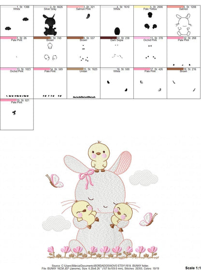 Bunny with birds embroidery design - Rabbit with little chicks machine embroidery pattern - Rabbit with flowers - Instant download pes jef