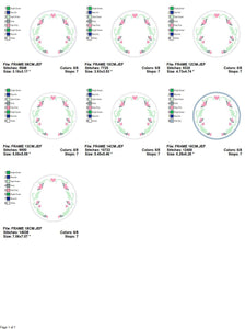 Floral Monogram Frame embroidery designs - Flower Laurel wreath embroidery design machine embroidery pattern - instant digital download pes