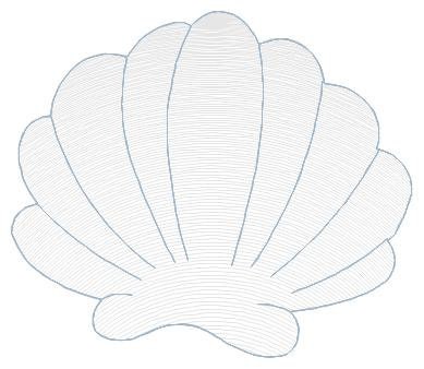 Shell embroidery designs - Deep sea shells embroidery design machine embroidery pattern - Ocean embroidery file - Beach embroidery download - Marcia Embroidery