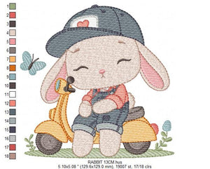 Bunny embroidery designs - Baby boy embroidery design machine embroidery pattern - Rabbit in a bike embroidery design - instant download pes