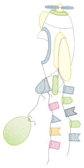 Plane embroidery designs - Airplane embroidery design machine embroidery pattern - Baby boy embroidery file - Plane with flags pes download