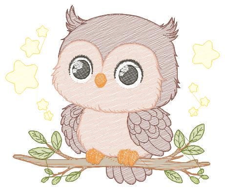 Owl embroidery design - Bird embroidery design machine embroidery pattern - Birdie embroidery file - Owl with branch star - instant download
