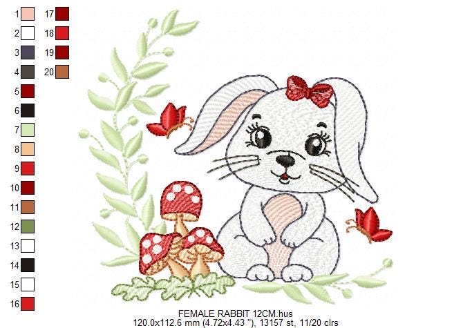 Female Bunny embroidery design - Rabbit with lace and laurel frame machine embroidery pattern - Woodland animal girl - Instant download pes