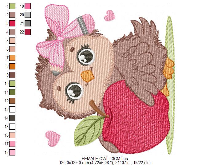 Owl with apple embroidery design - Baby Girl Bird with lace machine embroidery pattern - School Teacher file - Owl with - Instant download