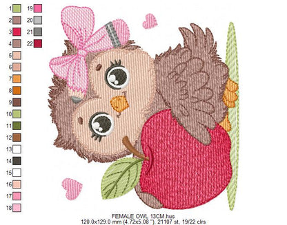 Owl with apple embroidery design - Baby Girl Bird with lace machine embroidery pattern - School Teacher file - Owl with - Instant download