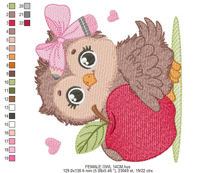 Owl with apple embroidery design - Baby Girl Bird with lace machine embroidery pattern - School Teacher file - Owl with - Instant download