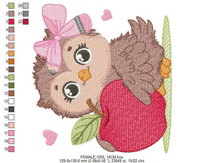 Owl with apple embroidery design - Baby Girl Bird with lace machine embroidery pattern - School Teacher file - Owl with - Instant download