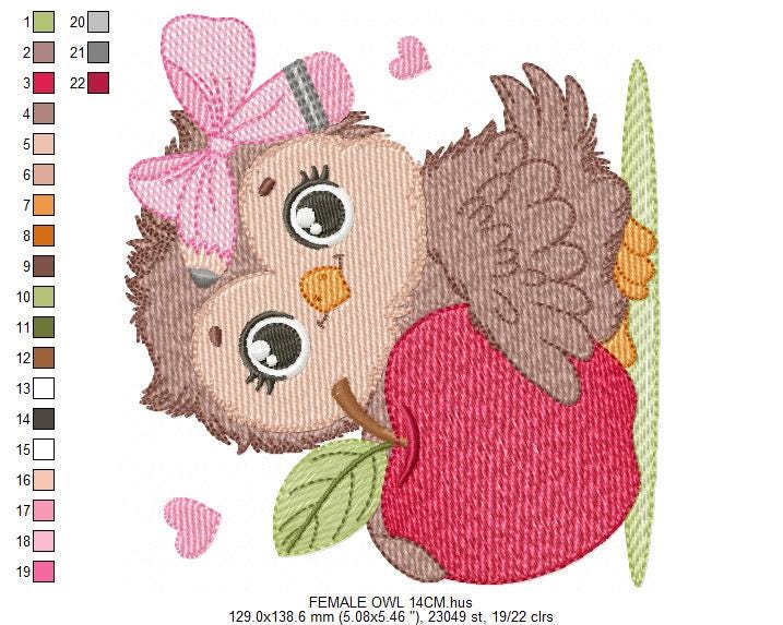 Owl with apple embroidery design - Baby Girl Bird with lace machine embroidery pattern - School Teacher file - Owl with - Instant download