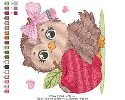 Owl with apple embroidery design - Baby Girl Bird with lace machine embroidery pattern - School Teacher file - Owl with - Instant download