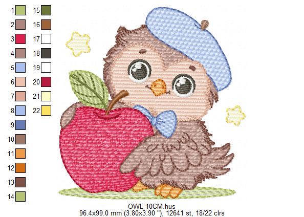 Owl with apple embroidery design - Baby Boy Bird with cap machine embroidery pattern - School Teacher file - Owl with - Instant download