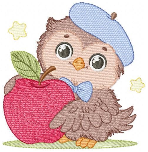 Owl with apple embroidery design - Baby Boy Bird with cap machine embroidery pattern - School Teacher file - Owl with - Instant download
