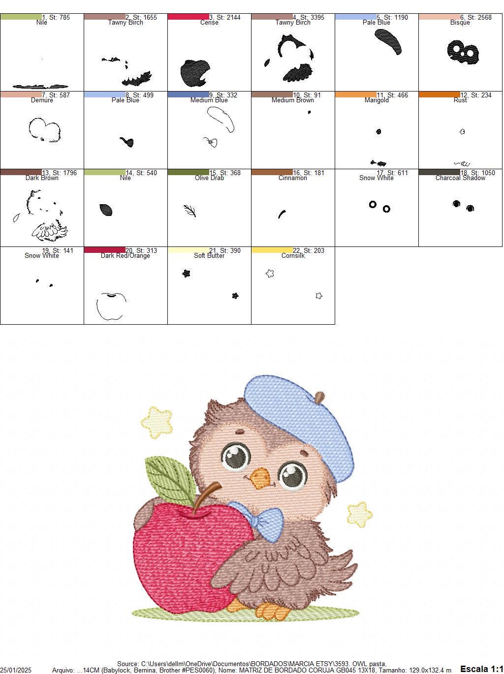 Owl with apple embroidery design - Baby Boy Bird with cap machine embroidery pattern - School Teacher file - Owl with - Instant download