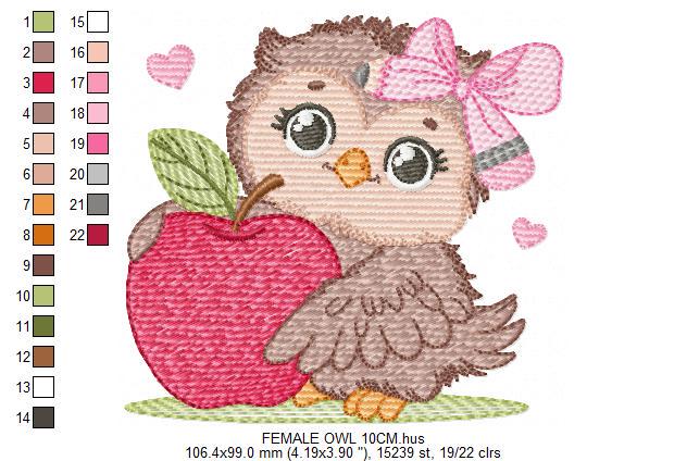Owl with apple embroidery design - Baby Girl Bird with lace machine embroidery pattern - School Teacher file - Owl with - Instant download