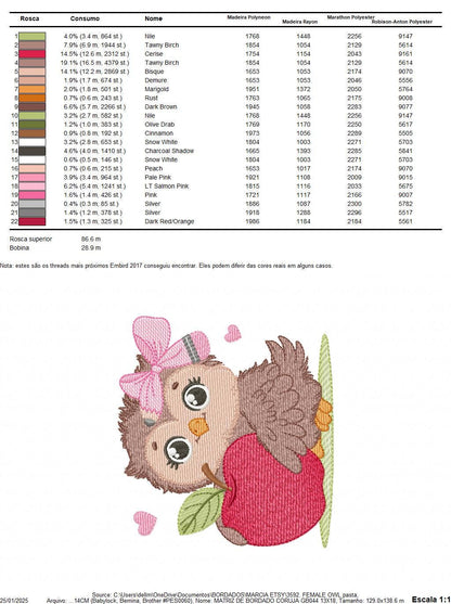 Owl with apple embroidery design - Baby Girl Bird with lace machine embroidery pattern - School Teacher file - Owl with - Instant download