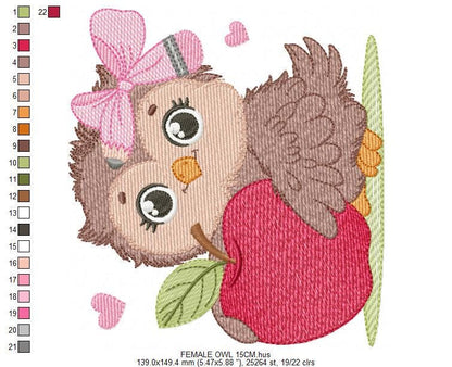 Owl with apple embroidery design - Baby Girl Bird with lace machine embroidery pattern - School Teacher file - Owl with - Instant download