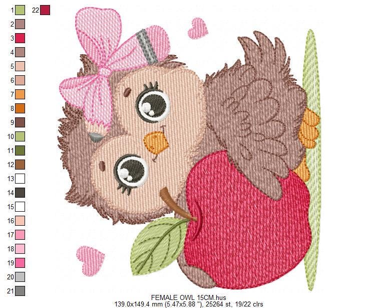 Owl with apple embroidery design - Baby Girl Bird with lace machine embroidery pattern - School Teacher file - Owl with - Instant download