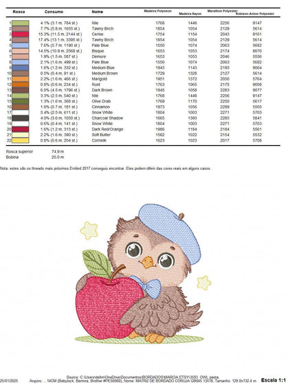 Owl with apple embroidery design - Baby Boy Bird with cap machine embroidery pattern - School Teacher file - Owl with - Instant download