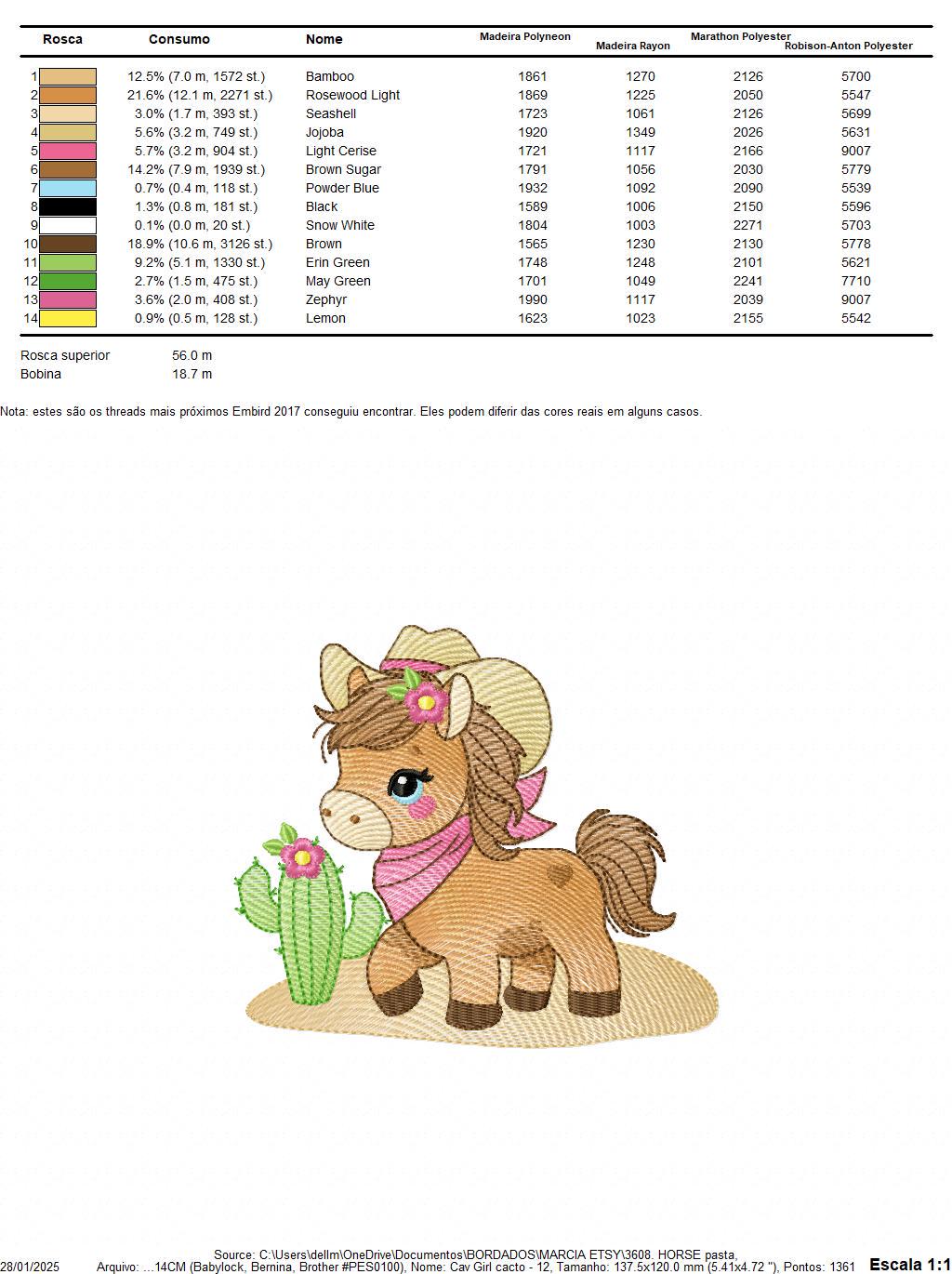 Horse embroidery design - Ranch Farm animal machine embroidery pattern - Cowgirl Horse with hat bandana flowers cactus - Instant download