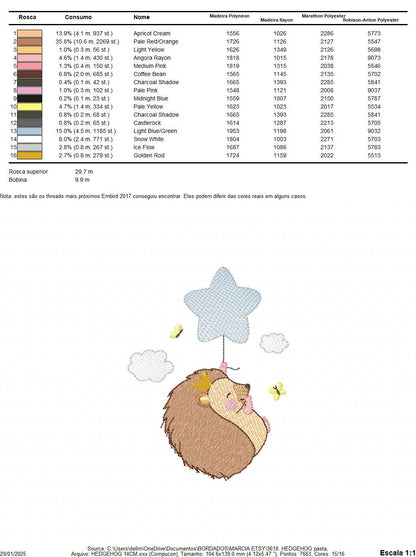 Hedgehog embroidery designs - Woodland Animal machine pattern - Baby Boy Porcupine with star balloon file - Instant download pes jef dst hus