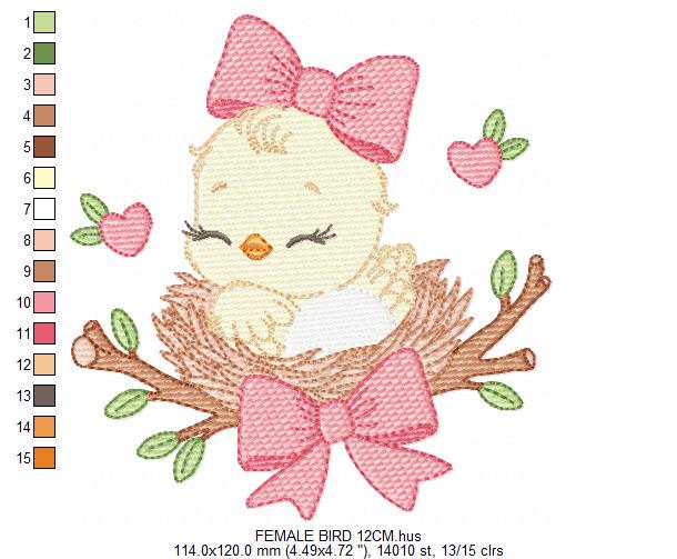 Bird embroidery designs - Baby Girl Bird with bow lace machine embroidery pattern - Spring Garden Nature file - Instant download jef pes dst