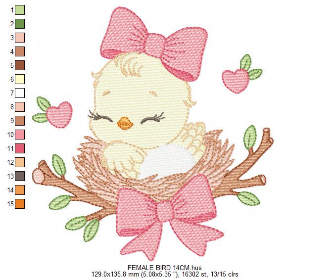 Bird embroidery designs - Baby Girl Bird with bow lace machine embroidery pattern - Spring Garden Nature file - Instant download jef pes dst