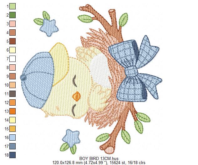 Bird embroidery designs - Baby boy bird with cap machine embroidery pattern - Spring Garden Nature - Instant download jef pes dst hus vp3