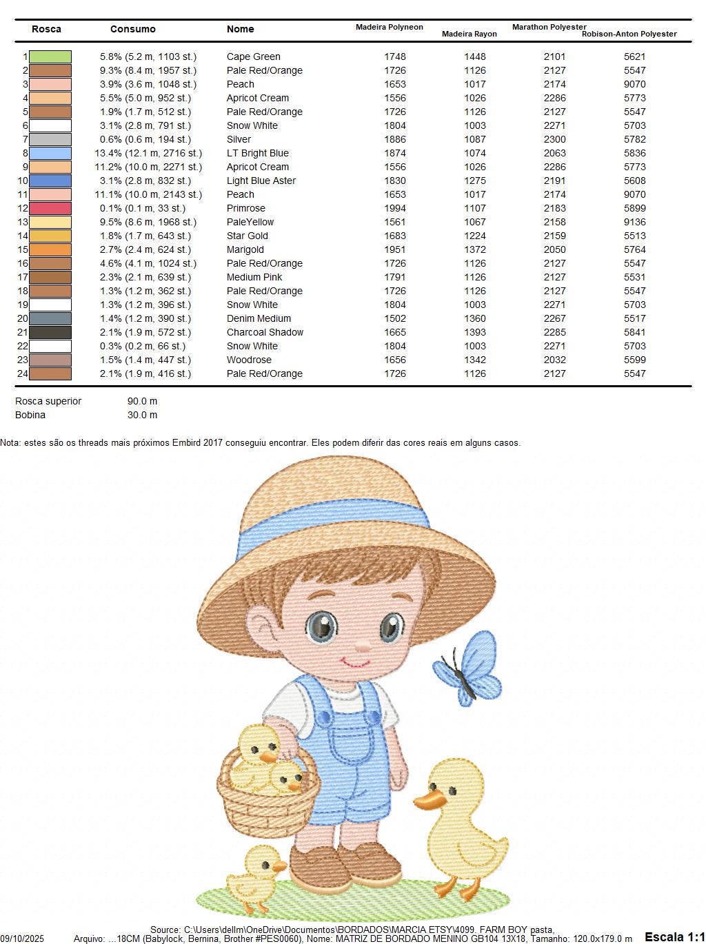 Baby Boy Farmer embroidery design - Boy with straw hat machine embroidery pattern - Boy with ducks - Instant digital download pes jef dst