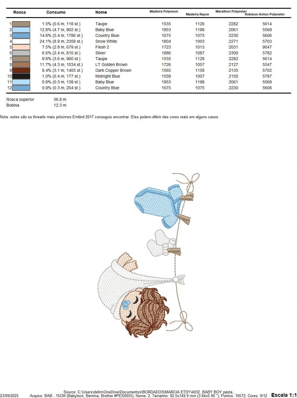 Baby boy with clothes line embroidery designs - Newborn machine embroidery pattern - Gender Reveal Party - Instant digital download pes jef