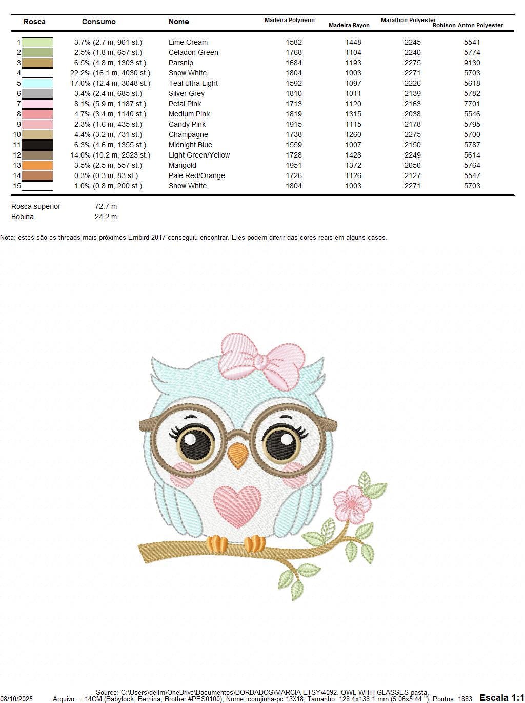 Owl embroidery design - Bird with glasses machine embroidery pattern - Baby Girl Owl with flowers and lace - Instant digital download jef