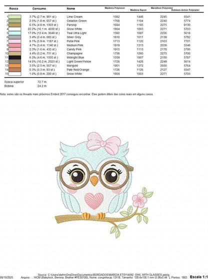 Owl embroidery design - Bird with glasses machine embroidery pattern - Baby Girl Owl with flowers and lace - Instant digital download jef