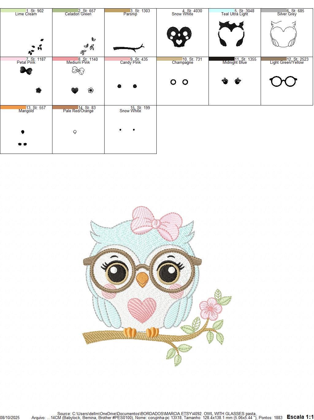 Owl embroidery design - Bird with glasses machine embroidery pattern - Baby Girl Owl with flowers and lace - Instant digital download jef