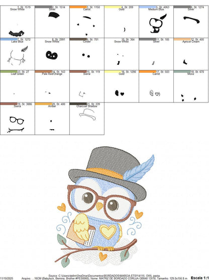 Owl embroidery design - Bird with glasses machine embroidery pattern - Baby Boy Owl with Top hat and hearts - Instant digital download jef