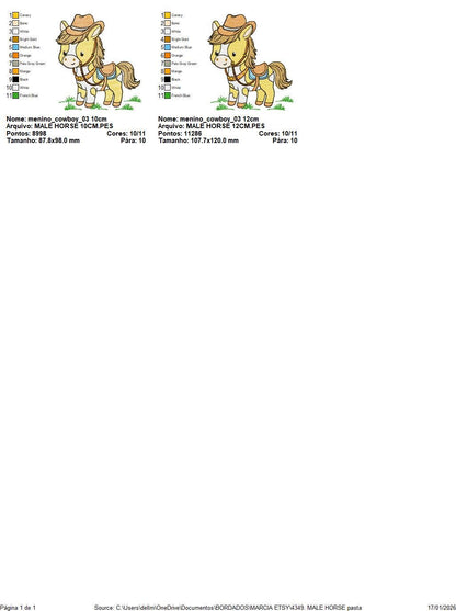 Horse embroidery design - Baby Boy Farm Pony with cowboy hat machine embroidery pattern - Horse with Cowboy hat - Instant download pes jef