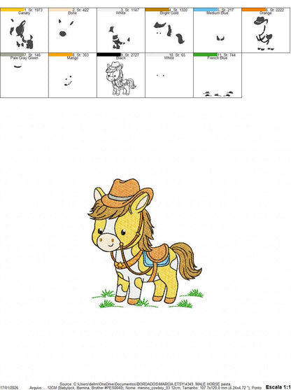 Horse embroidery design - Baby Boy Farm Pony with cowboy hat machine embroidery pattern - Horse with Cowboy hat - Instant download pes jef