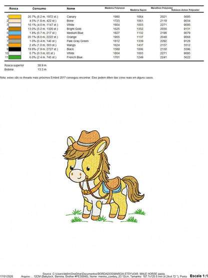 Horse embroidery design - Baby Boy Farm Pony with cowboy hat machine embroidery pattern - Horse with Cowboy hat - Instant download pes jef