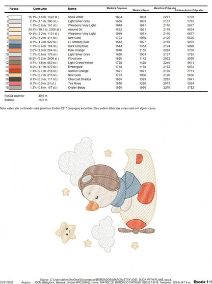 Pilot Duck with plane embroidery design - Aviator animal with airplane machine embroidery pattern - Baby boy file - Instant download pes jef