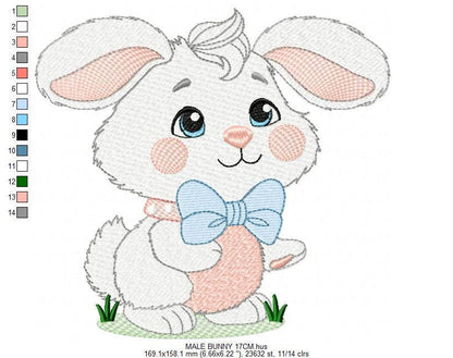 Male Bunny embroidery design - Rabbit with mushrooms with laurel frame machine embroidery pattern - Woodland animal file - instant download
